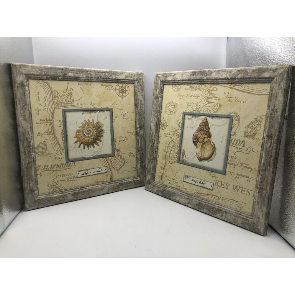 Stellaria Solaris and Tutula Buba California beaches w/shells design art Frame